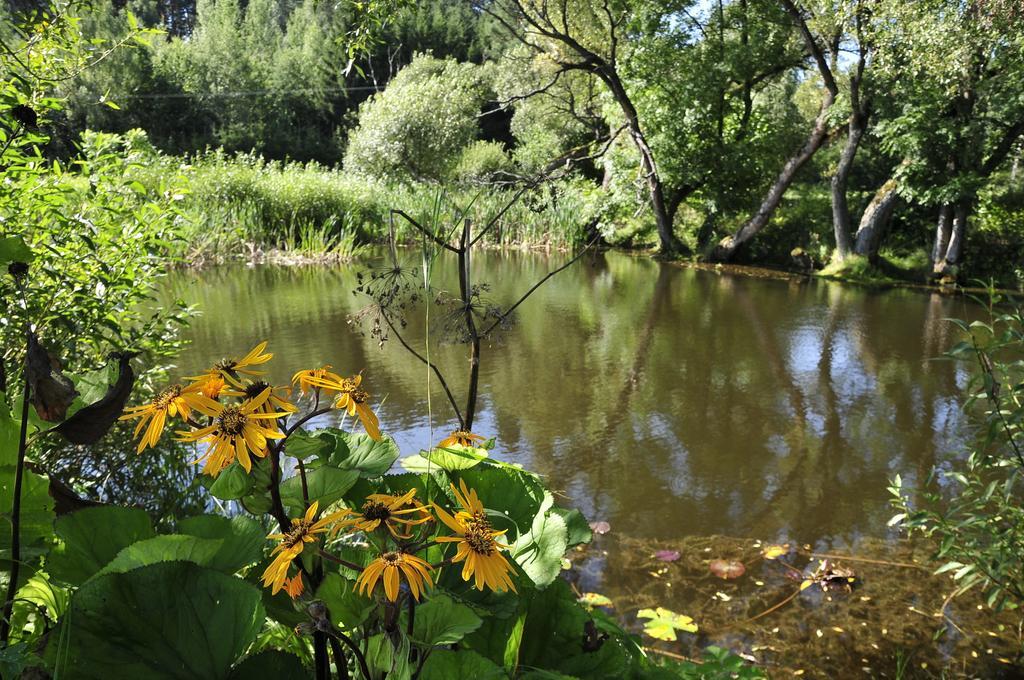 agroturystyka Orzechowe Wzgórze Orzechowo  Exterior foto